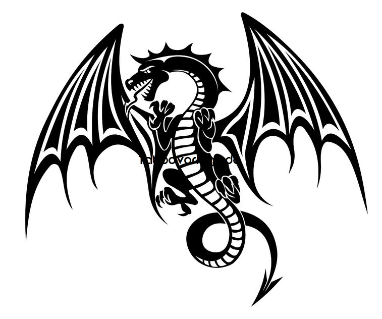 Drachen tattoos vorlagen kostenlos